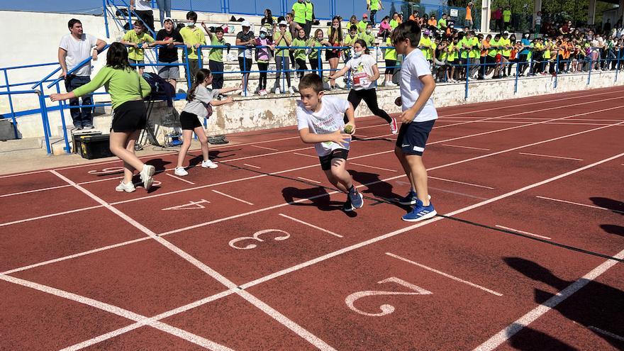 Casi 200 escolares de Almoradí y Orihuela participarán en las Olimpiadas de la Alcachofa