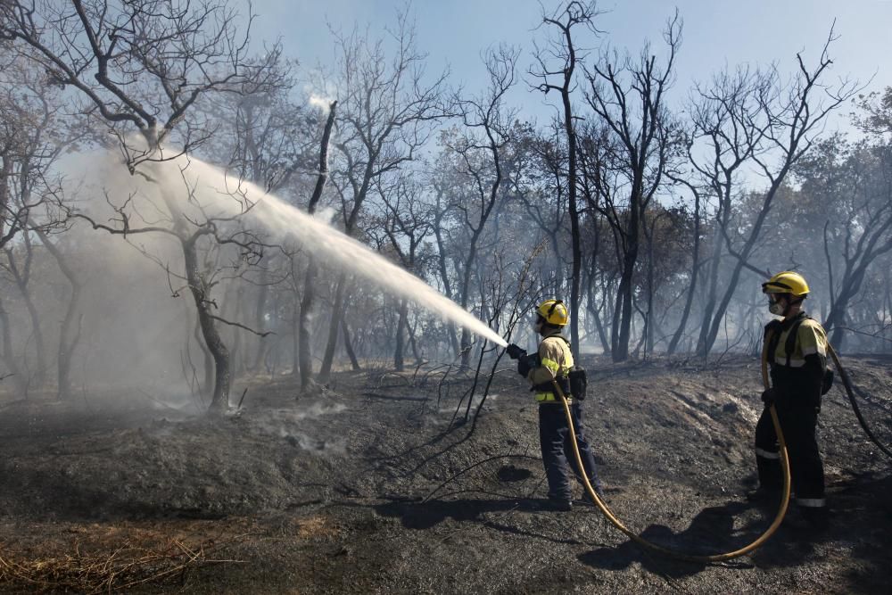 Incendi a al polígon industrial de Maçanet