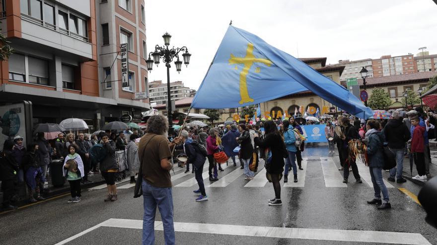 En imágenes | Multitudinaria manifestación por la llingua asturiana en Oviedo: &quot;Ya, ya, ya, oficialidá&quot;