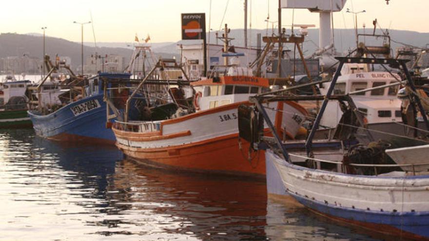 Els vaixells no van poder pescar gamba en altres caladors pel mal temps el dia que començava la veda.