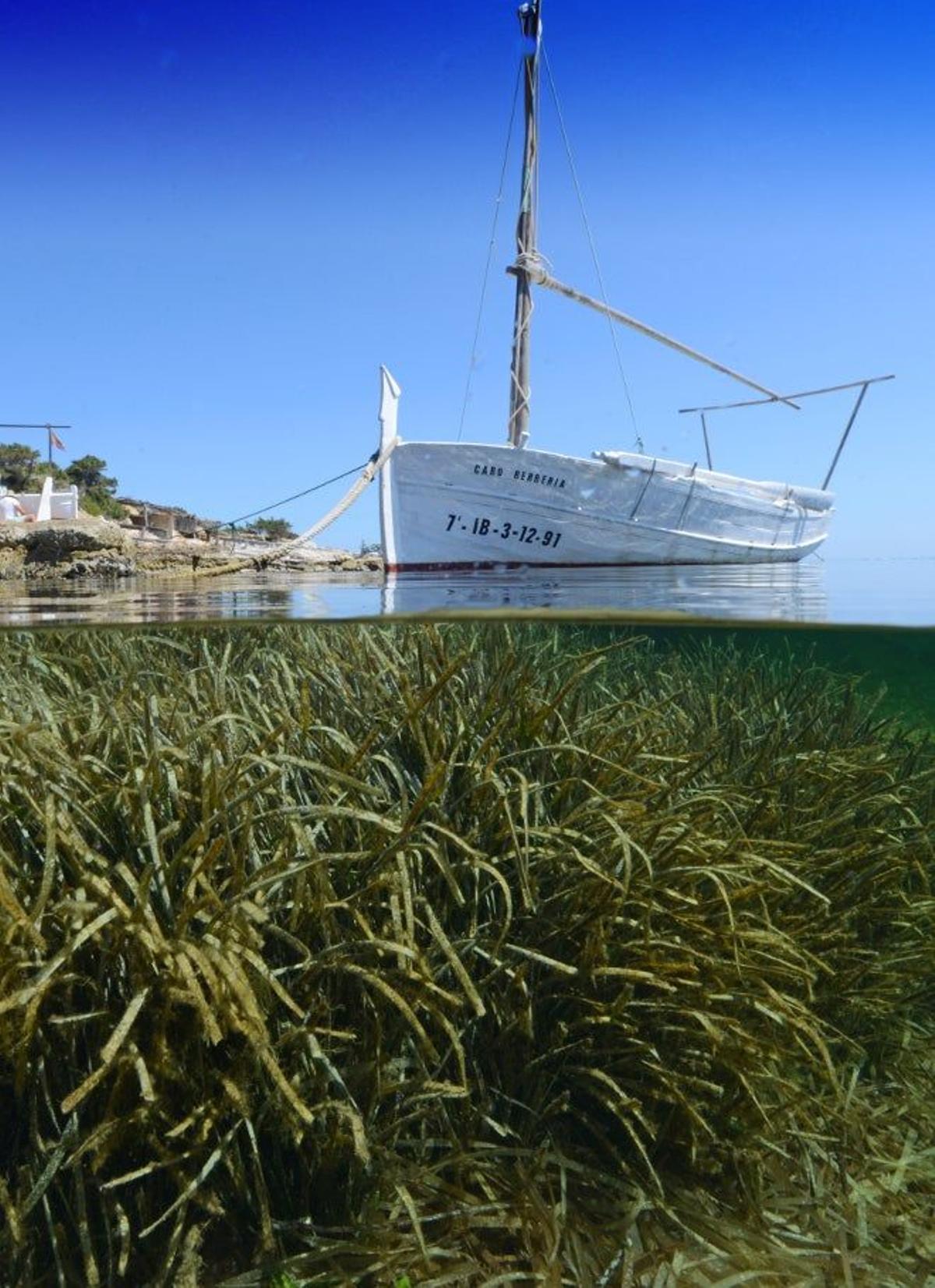 El contraste entre tierra, mar y aire, marca el paisaje de Formentera.