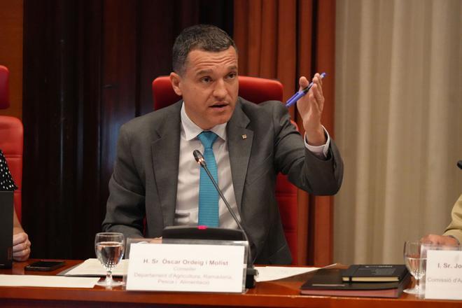 Catalunya reclamará al Gobierno central los 72 millones que lleva gastados en combatir la peste porcina