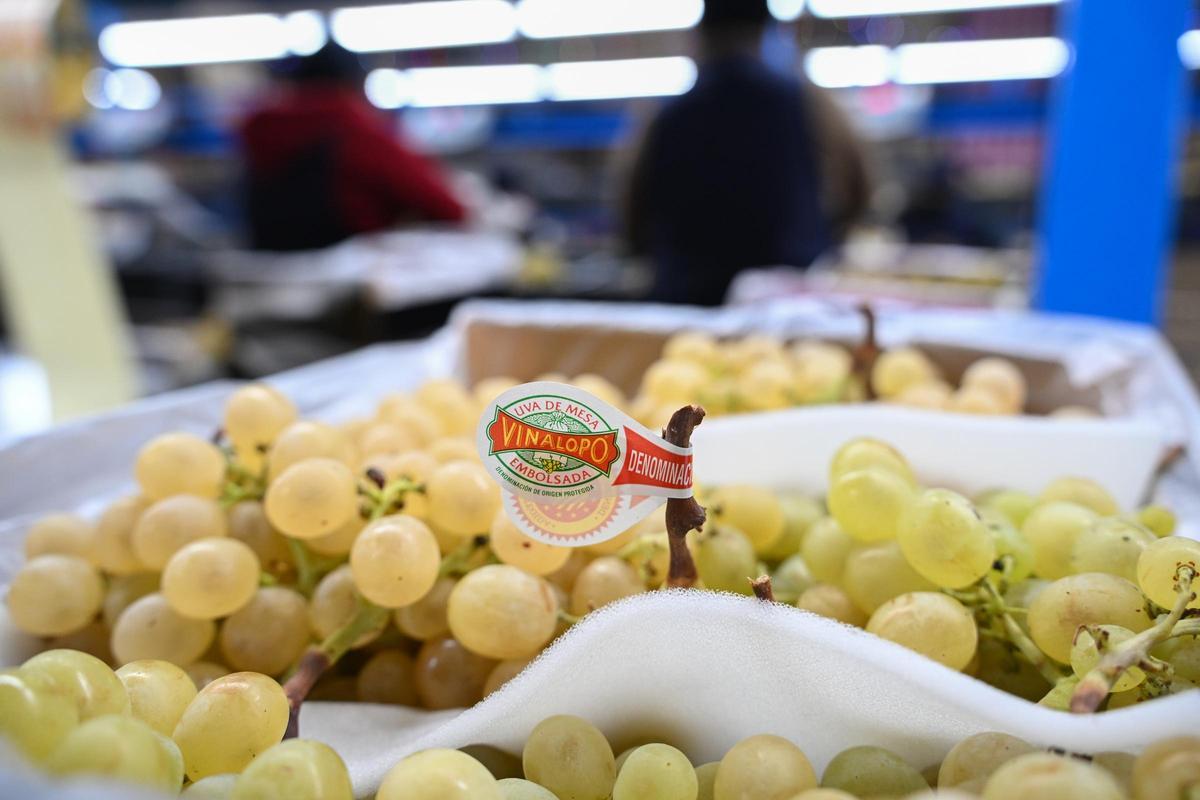 Una caja de Uva Embolsada del Vinalopó.