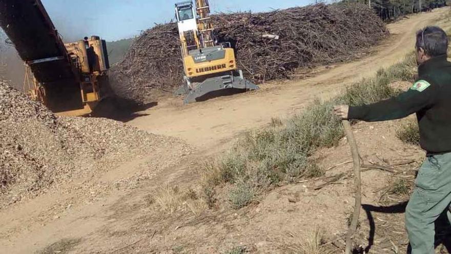 Trabajos de restauración en la zona quemada.