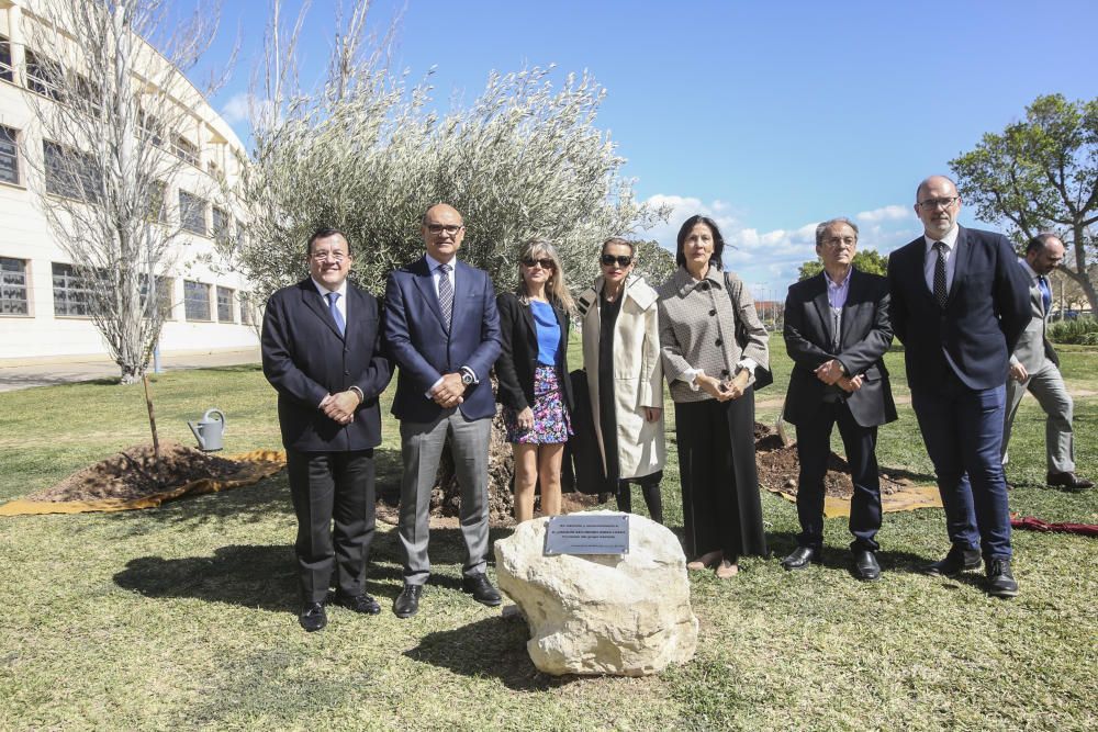 El fundador de Vectalia, Joaquín Arias, recibirá a la Mención Honorífica del Consejo Social de la UA a título póstumo