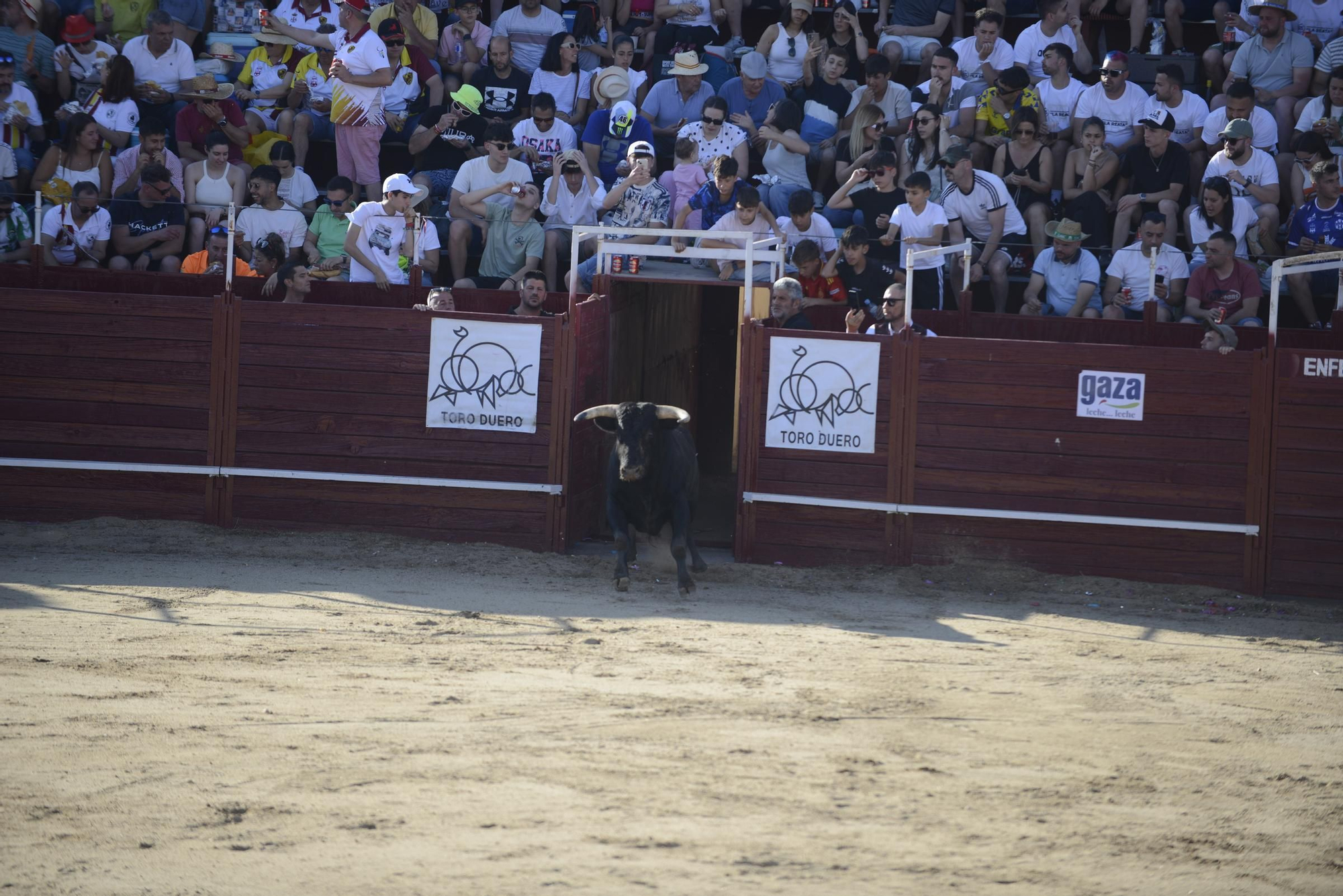 GALERÍA | Unos cuantos cortes de los arriesgados en Benavente