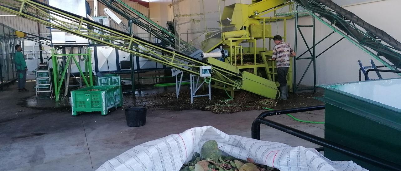 Operarios procesan en las instalaciones de la cooperativa los pistachos recolectados