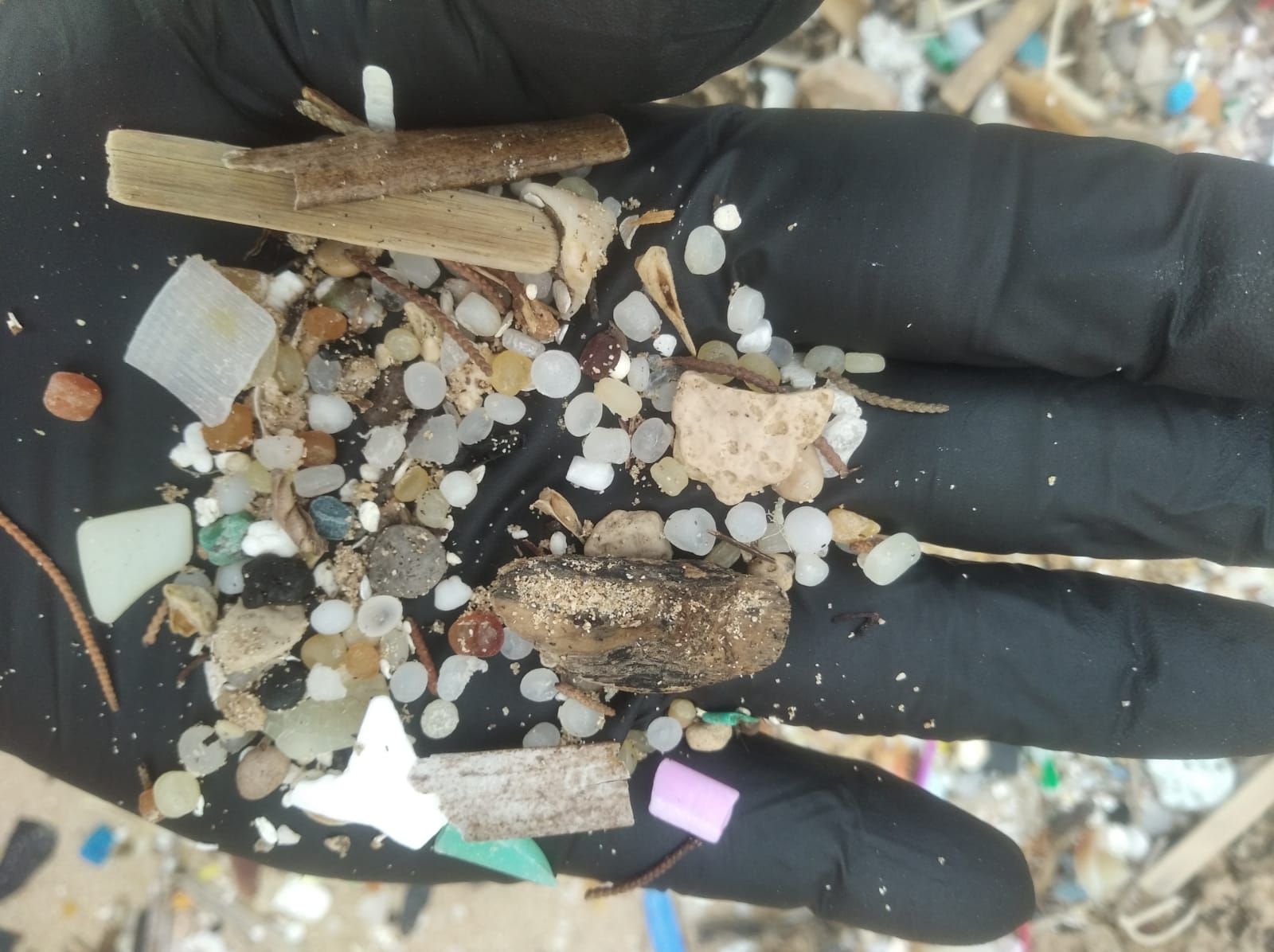 En la costa de Formentera hay más basura que nunca