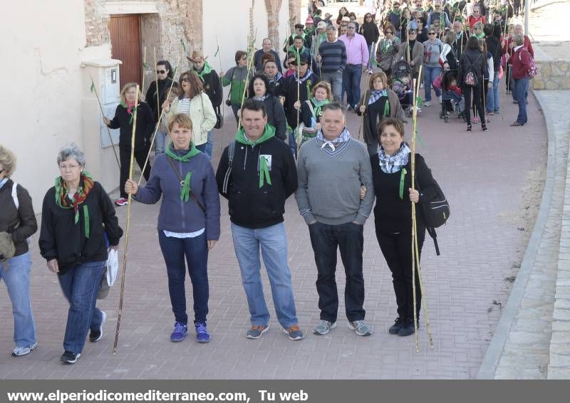 GALERÍA DE FOTOS - Romería Magdalena 2014 (3)