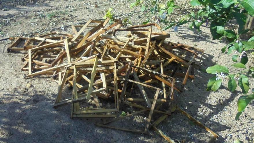 Estado de algunas de las colmenas destrozadas.