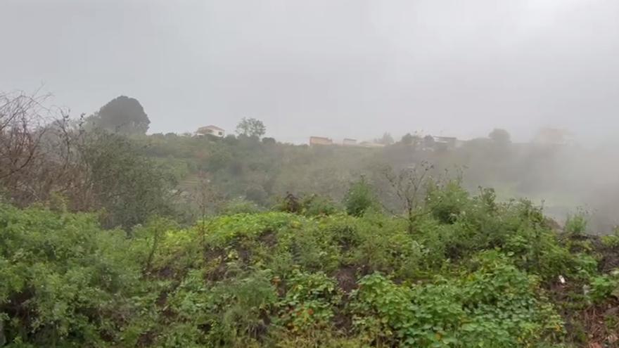 Lluvia en Valleseco (21/03/24)