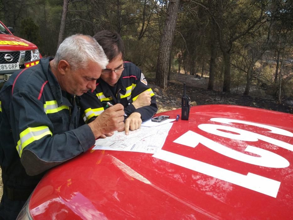 El desolador paisaje de la Calderona tras el incendio