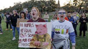 L’ICE deporta un nadó malalt  d’un centre de detenció de migrants