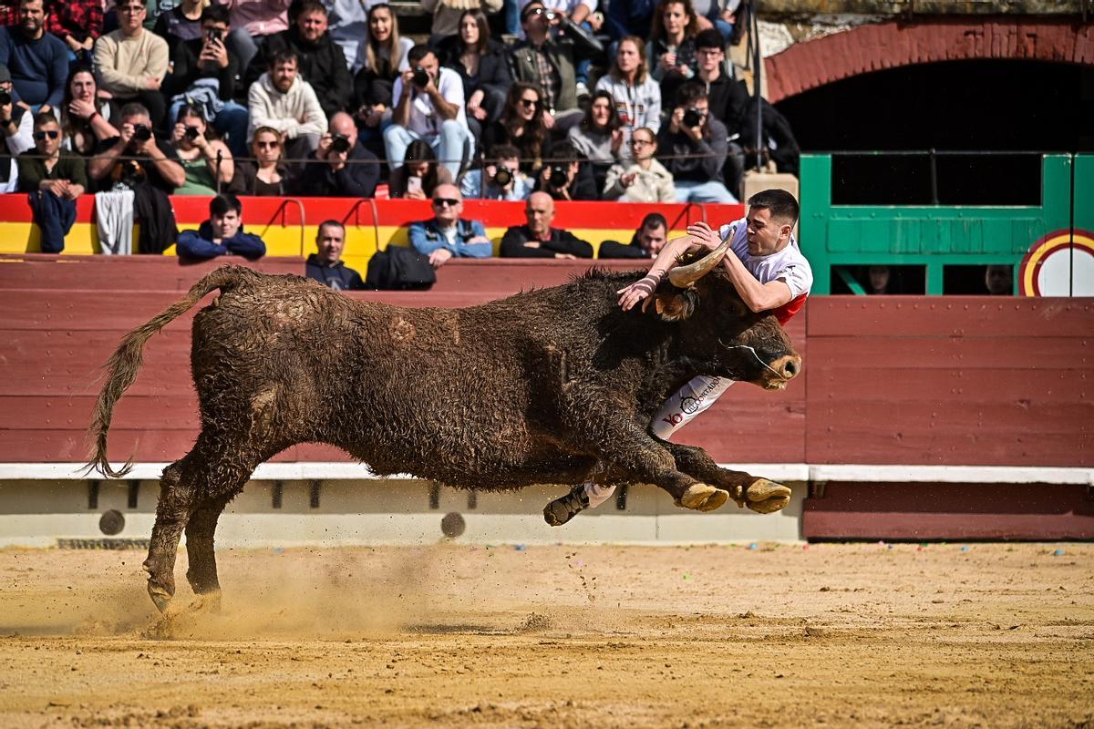 Galería de imágenes: Los maestros de la calle toman la plaza de Castelló