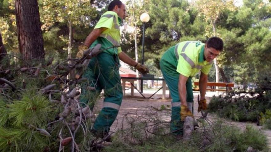 El Ayuntamiento de Zaragoza encuentra irregularidades en FCC Parques y Jardines