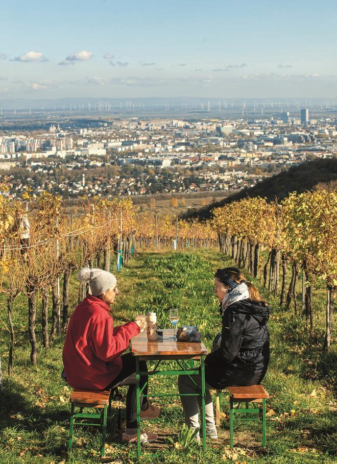 Viñedos en la colina Kahlenberg.