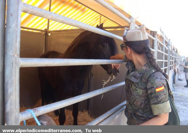 GUARDIA REAL