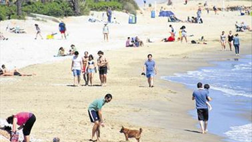 La ‘moda’ de las playas para perros