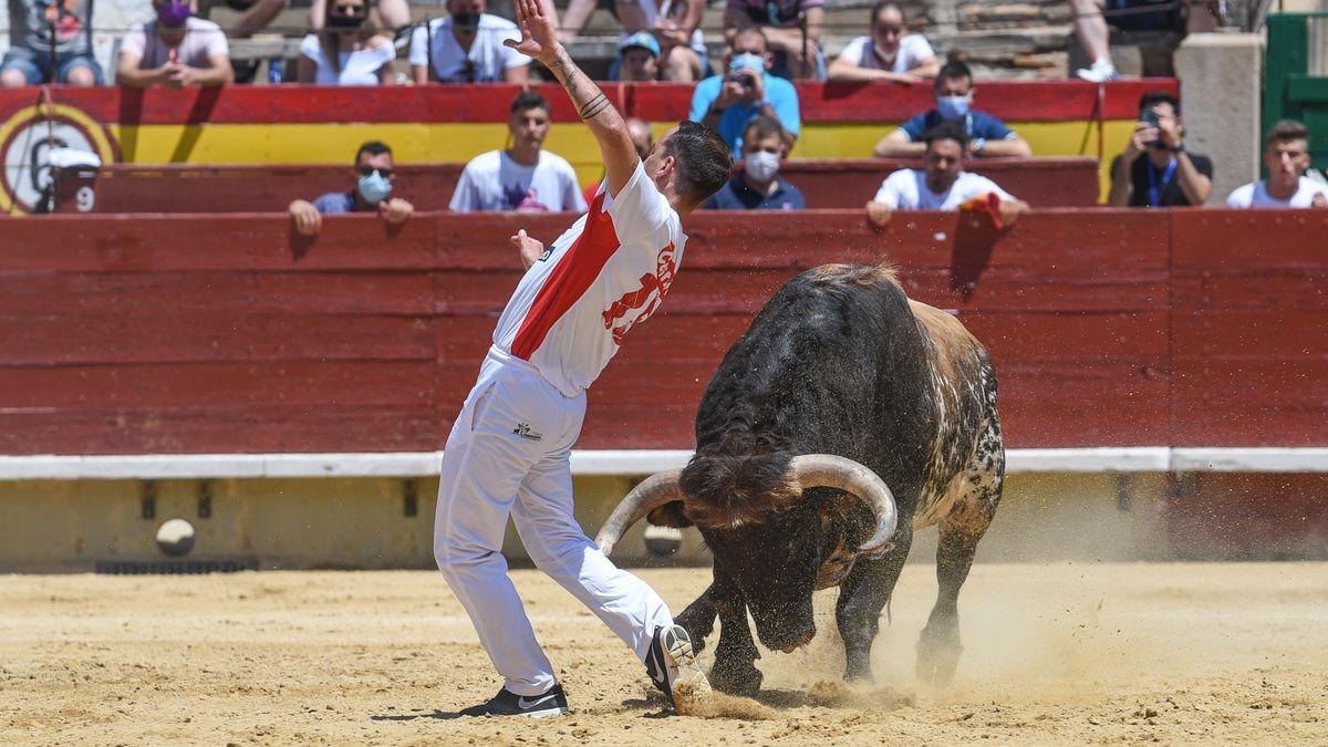 El francés Baptiste en el momento que ha sido alcanzado en el gemelo por el imponente toro de la ganadería de Garcigrande