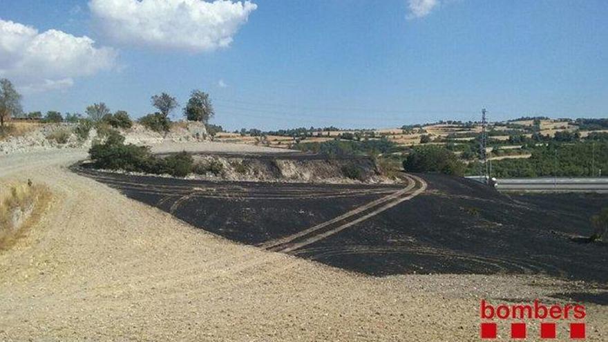 Camps cremats per l&#039;incendi, aquest dimarts a la tarda