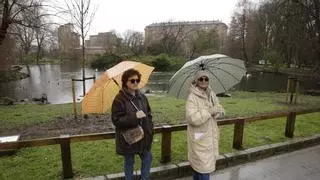 Las aves de Isabel la Católica, el pulmón verde de Gijón, vuelven a campar libres tras doce años