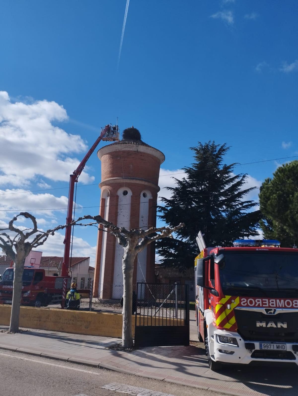Retirada nido cigüeña Entrala