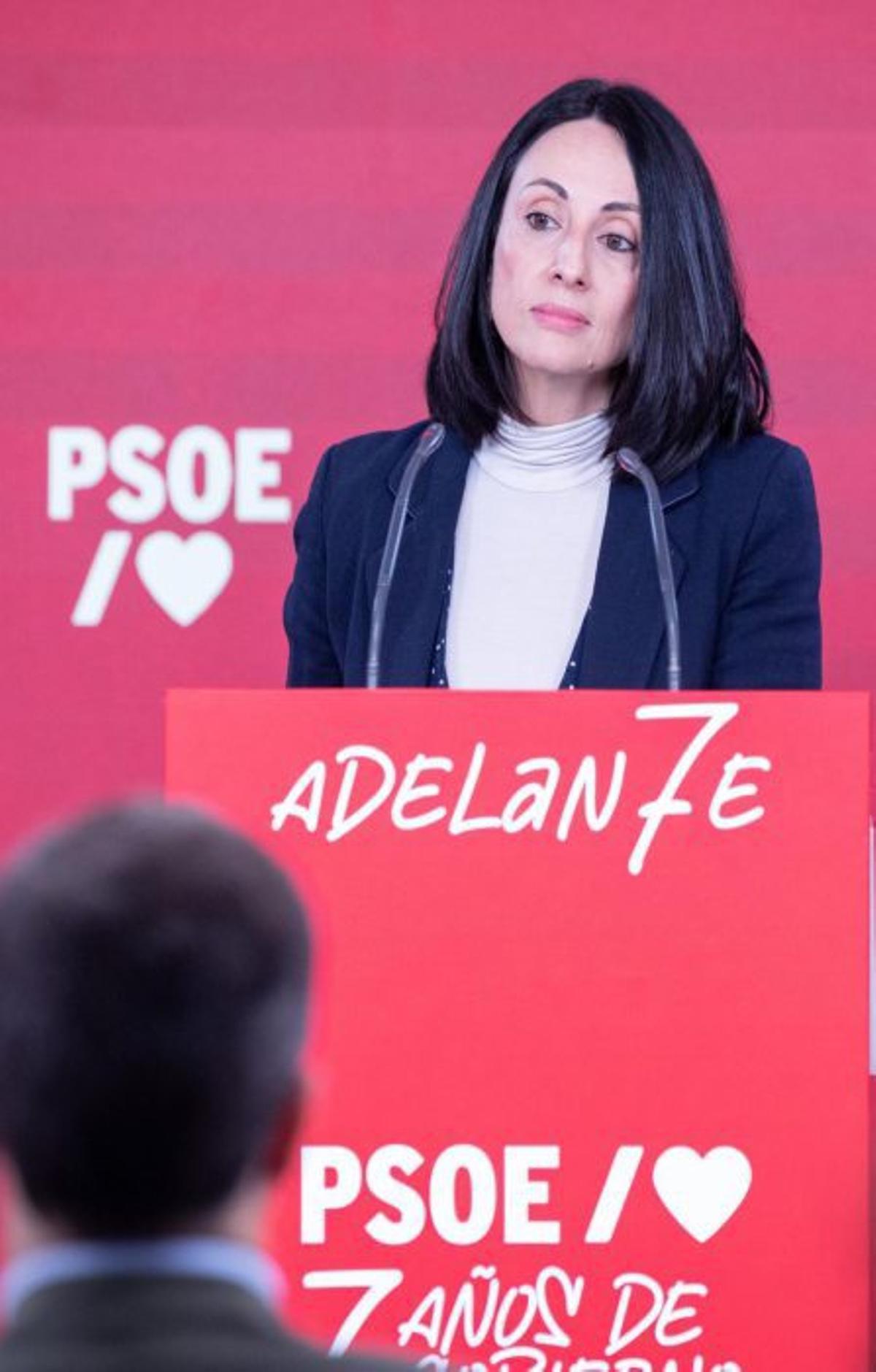 El PSOE demanarà empara al Suprem per les "mentides" d’Aldama