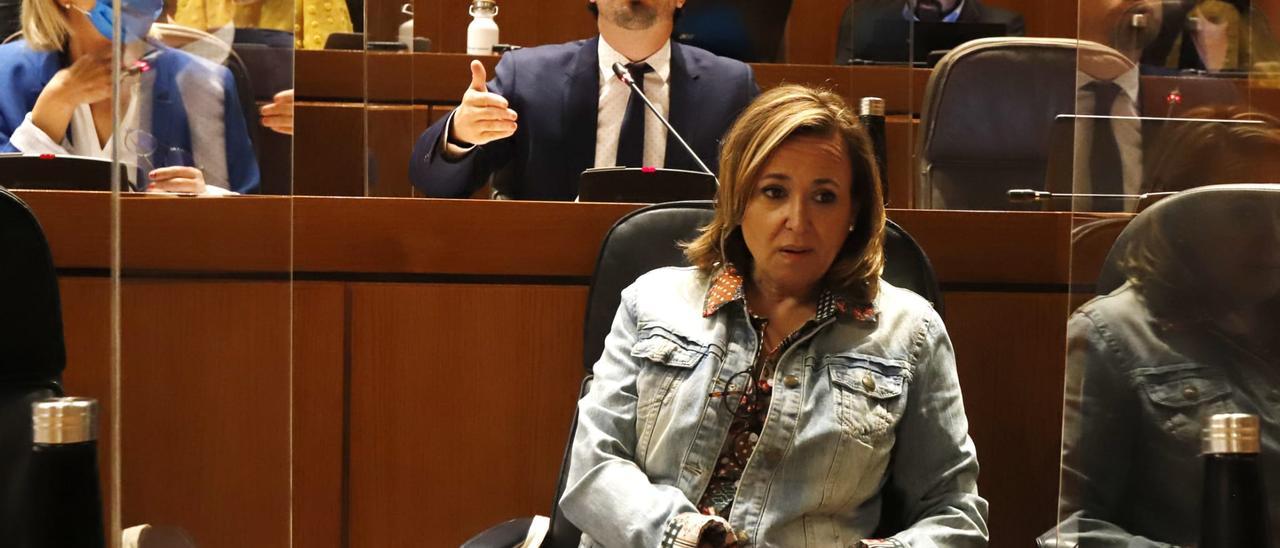 La consejera de Presidencia del Gobierno de Aragón, Mayte Pérez, ha presentado esta mañana en las Cortes la ley de Dinamización Rural.