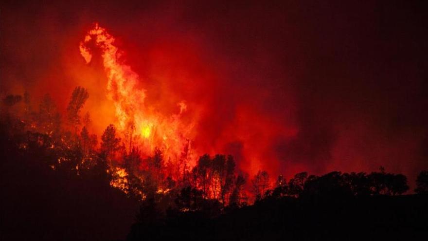 Prealerta roja por riesgo de incendios forestales en buena parte de Aragón