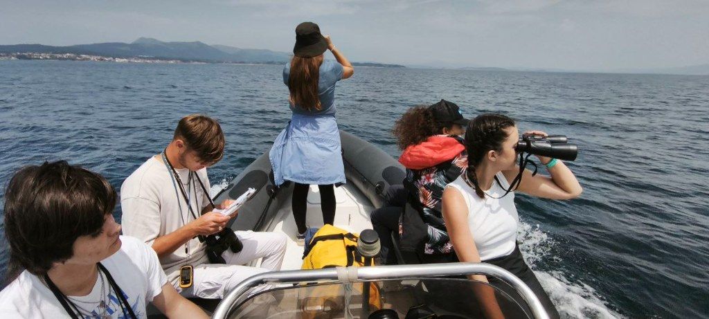 Biólogos, doctores y estudiantes del BDRI hacen un estrecho seguimiento de los mamíferos marinos en las rías de Vigo, Pontevedra y Arousa.