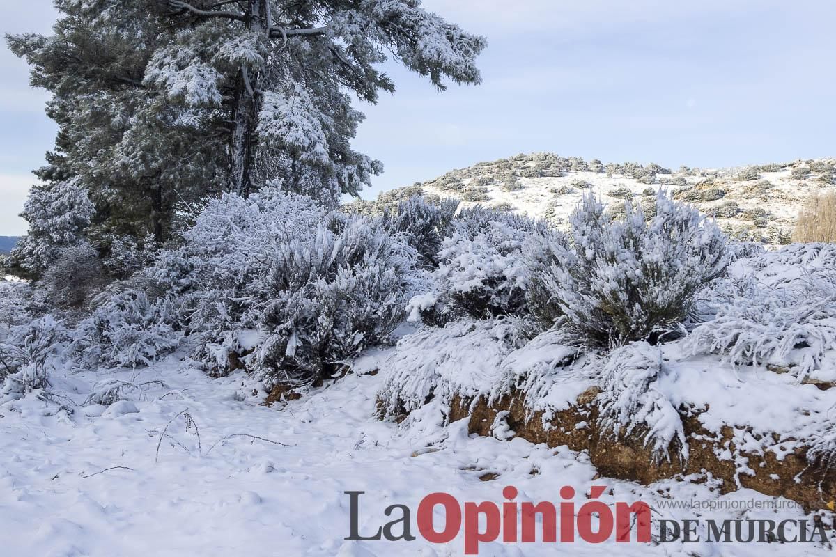 Descubre dónde queda acumulación de nieve en la Región de Murcia