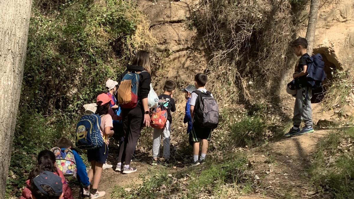 Sortida del Mare de Déu del Pilar  al parc forestal de Can Cases