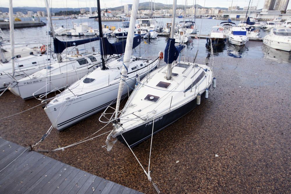 Tasques per retirar la biomassa al port de Palamós