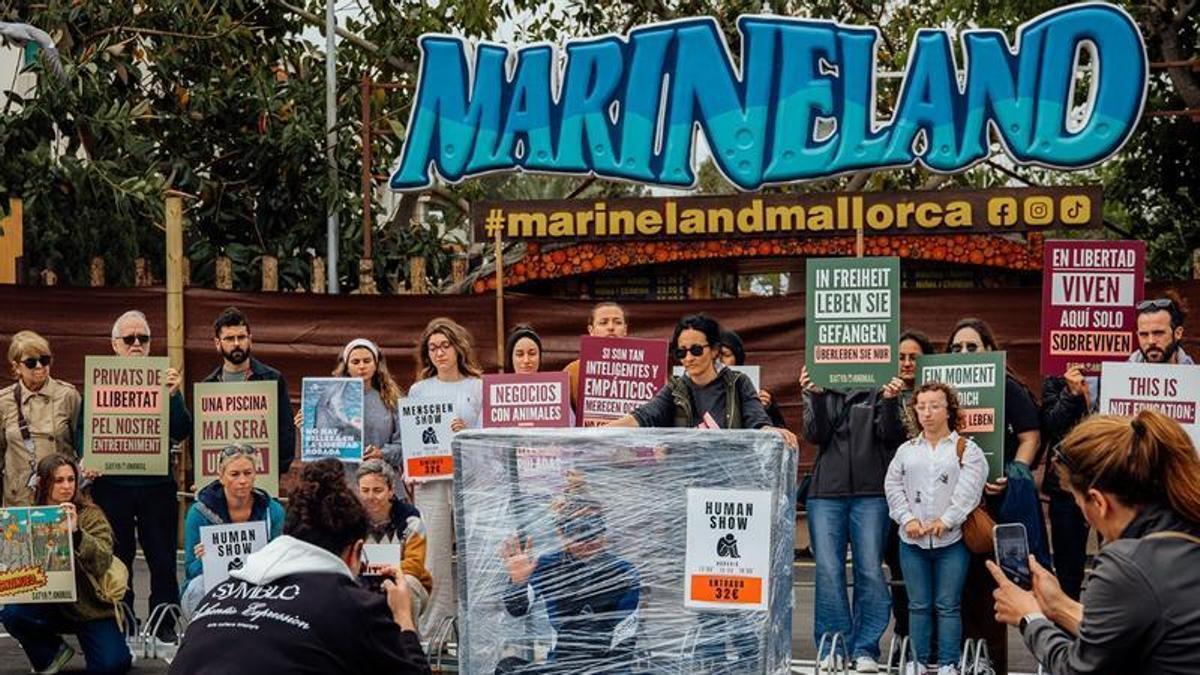 Performance en Marineland.
