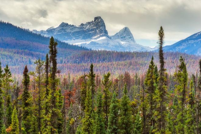 Montañas rocosas, Canadá