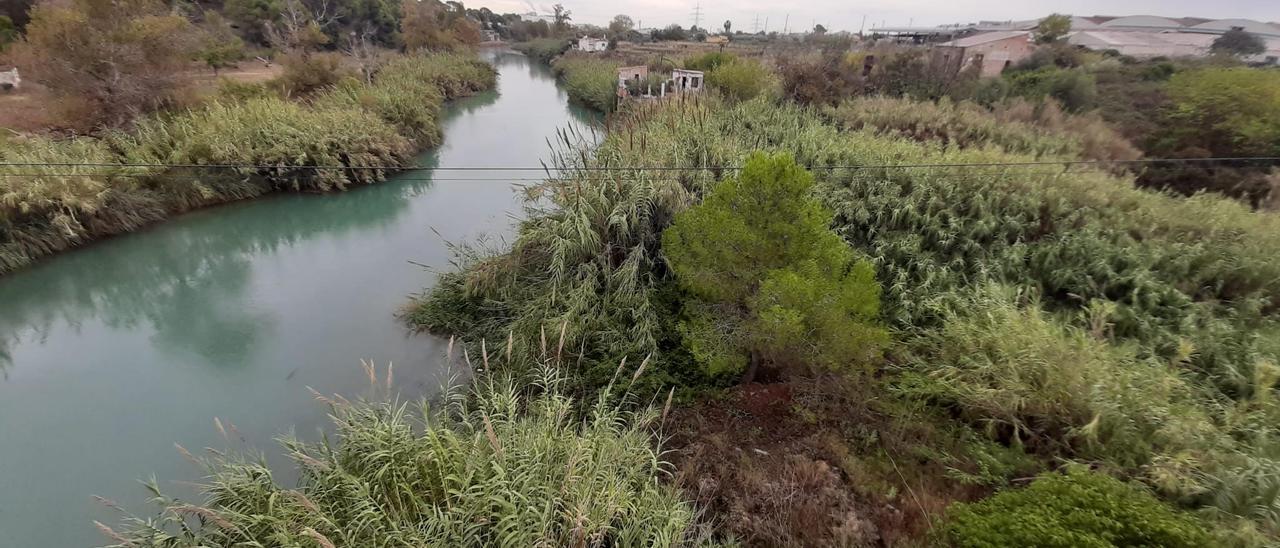 Prevén un importante cambio de imagen y revalorización del entorno fluvial perteneciente al término de Vila-real.