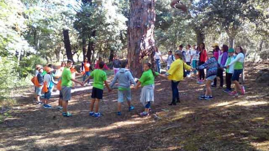 Escolares rodean un árbol durante la ruta celebrada por el entorno de la Laguna.