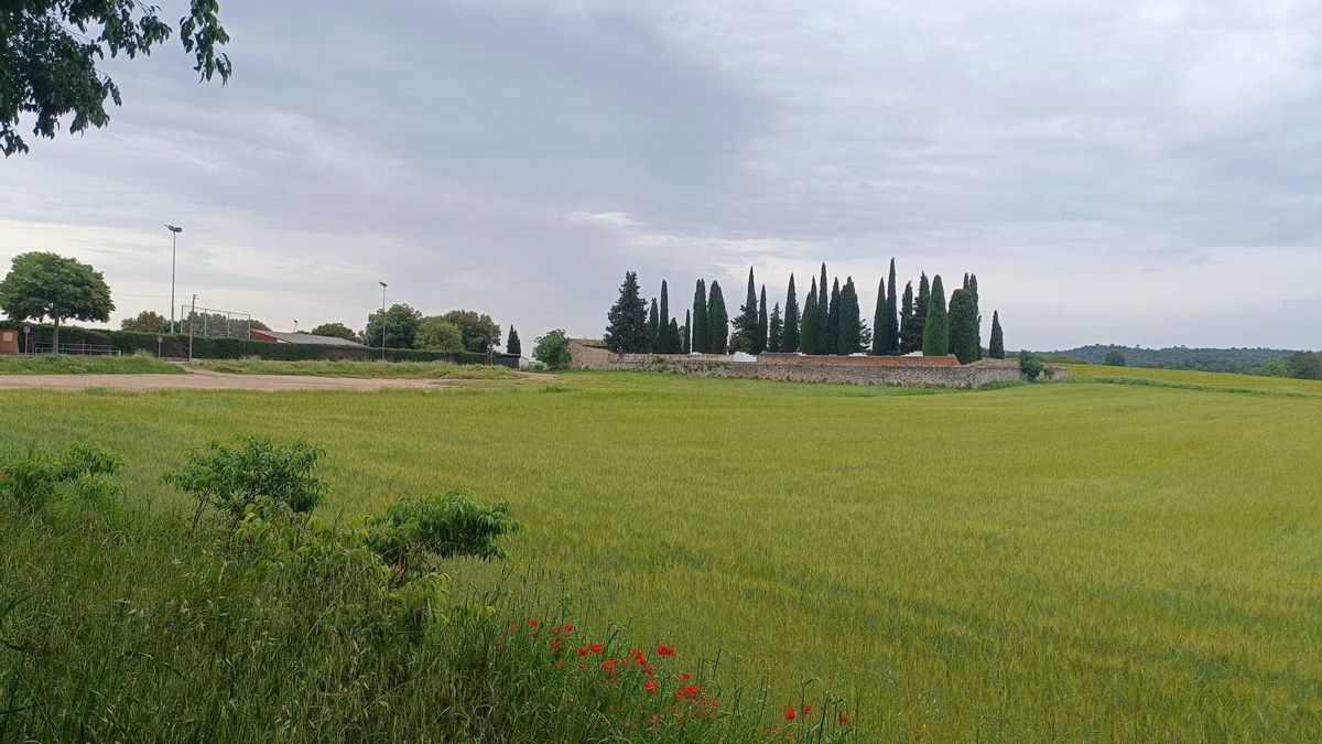 La finca rústica coneguda com el camp del Saiol era propietat del Bisbat Vic