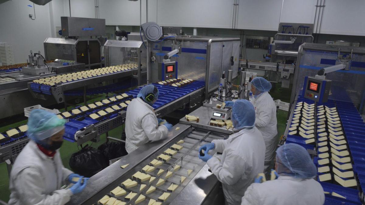 Una de las líneas de producción de quesos en una fábrica de la provincia de Zamora.