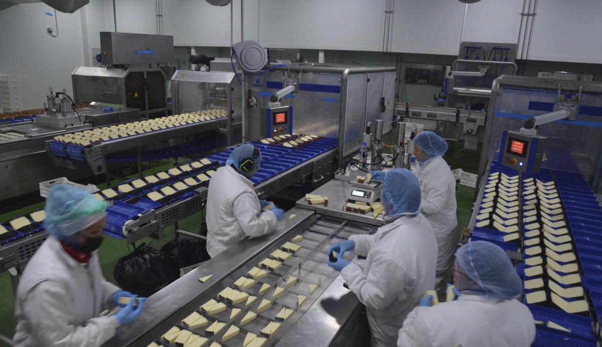 Una de las líneas de producción de Quesos El Pastor, en Santa Cristina de la Polvorosa.