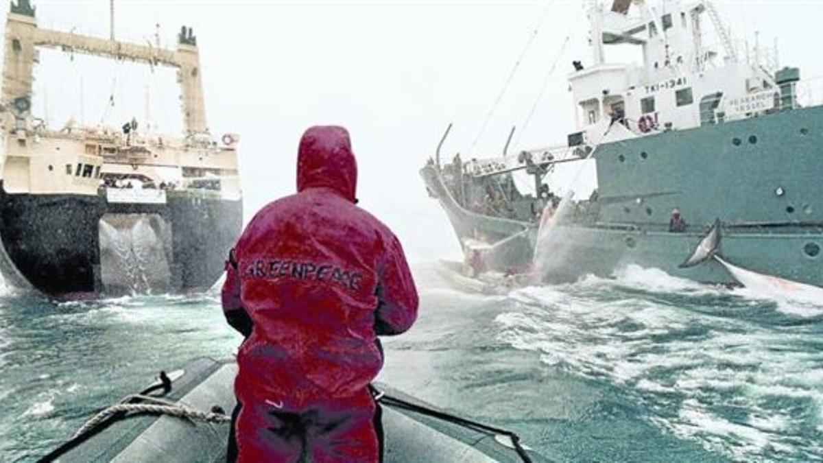 bloqueo en alta mar. Una balsa del buque 'Esperanza' de Greenpeace intenta evitar la transferencia de una ballena capturada del pesquero japonés a su nave nodriza, en el Antártico, en diciembre del 2005.