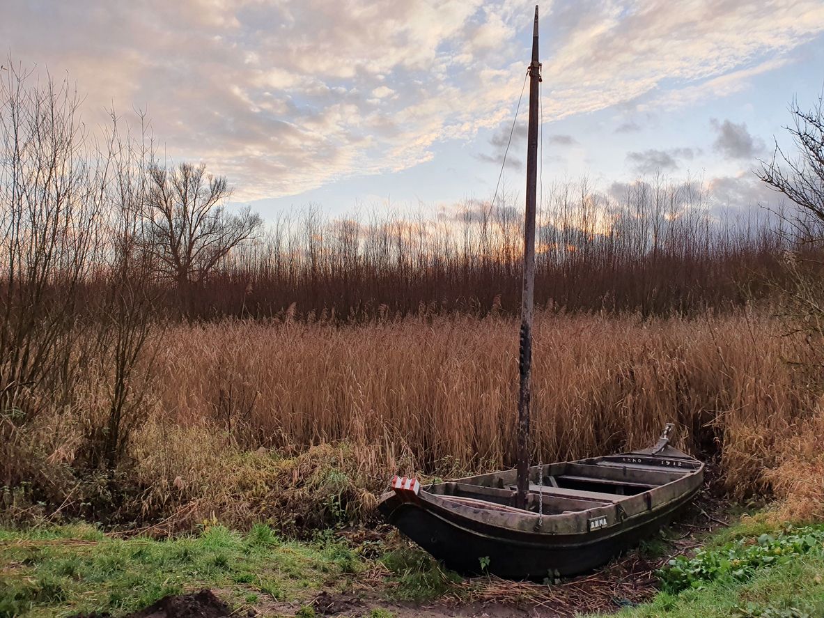 Descubre el Parque Nacional de Biesbosch, el pulmón verde de los Países Bajos.