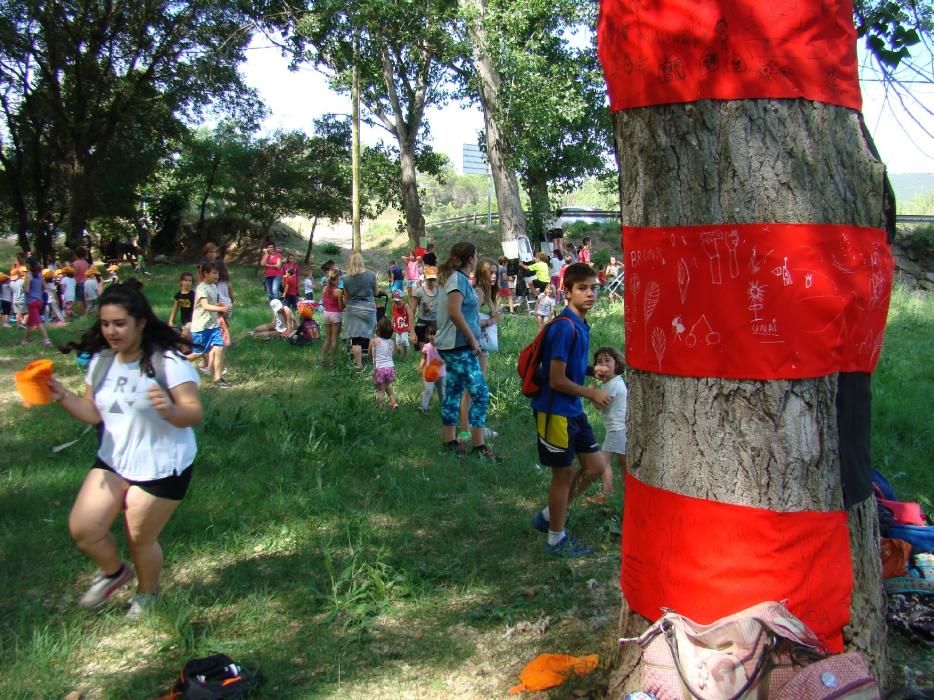 Infants de Sant Salvador creen el 'bosc de l'alegria'