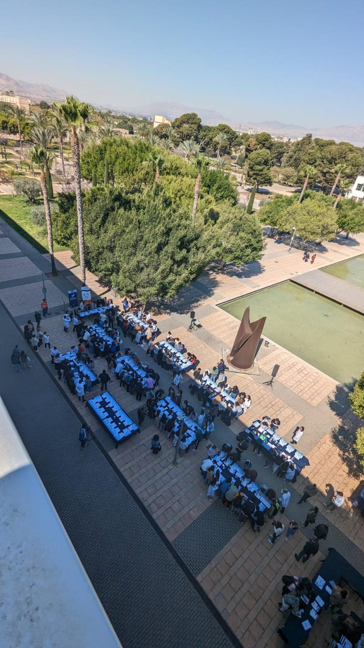 Panorámica de la actividad