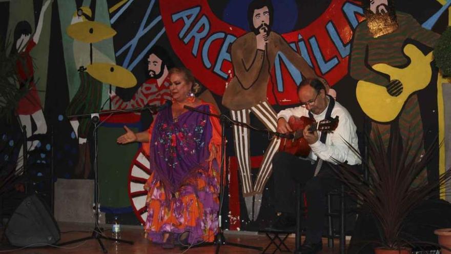 Un momento del espectáculo flamenco en Arcenillas.