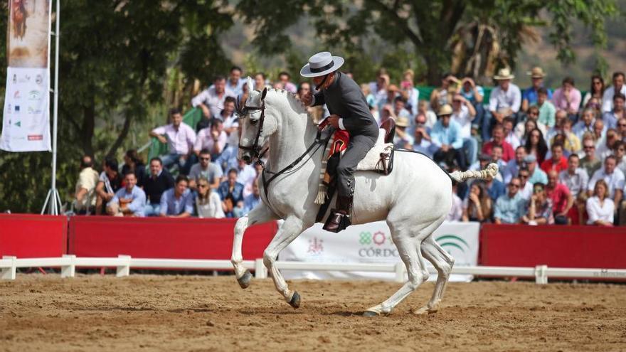 Córdoba celebrará este año once concursos hípicos nacionales