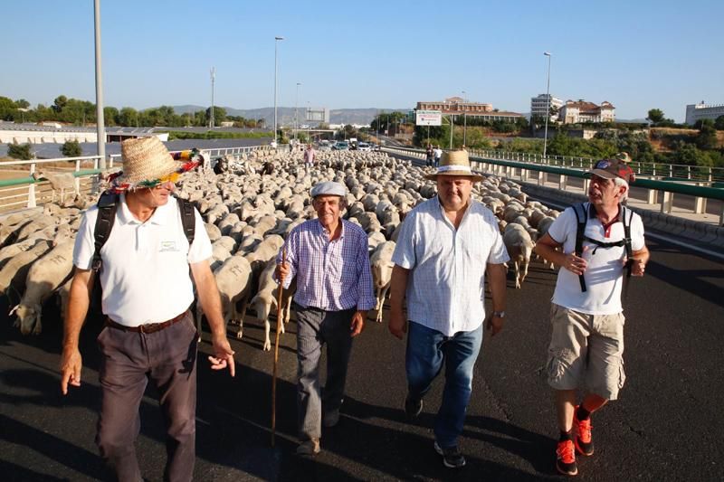 FOTOGALERÍA / Camino de la campiña