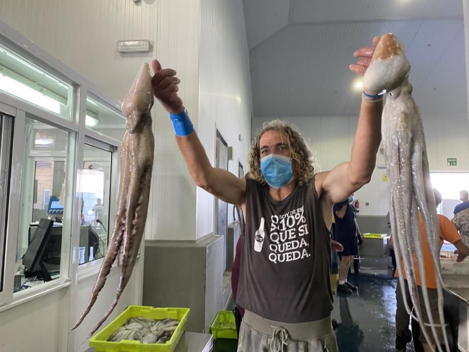 El pulpo se desploma en Galicia.