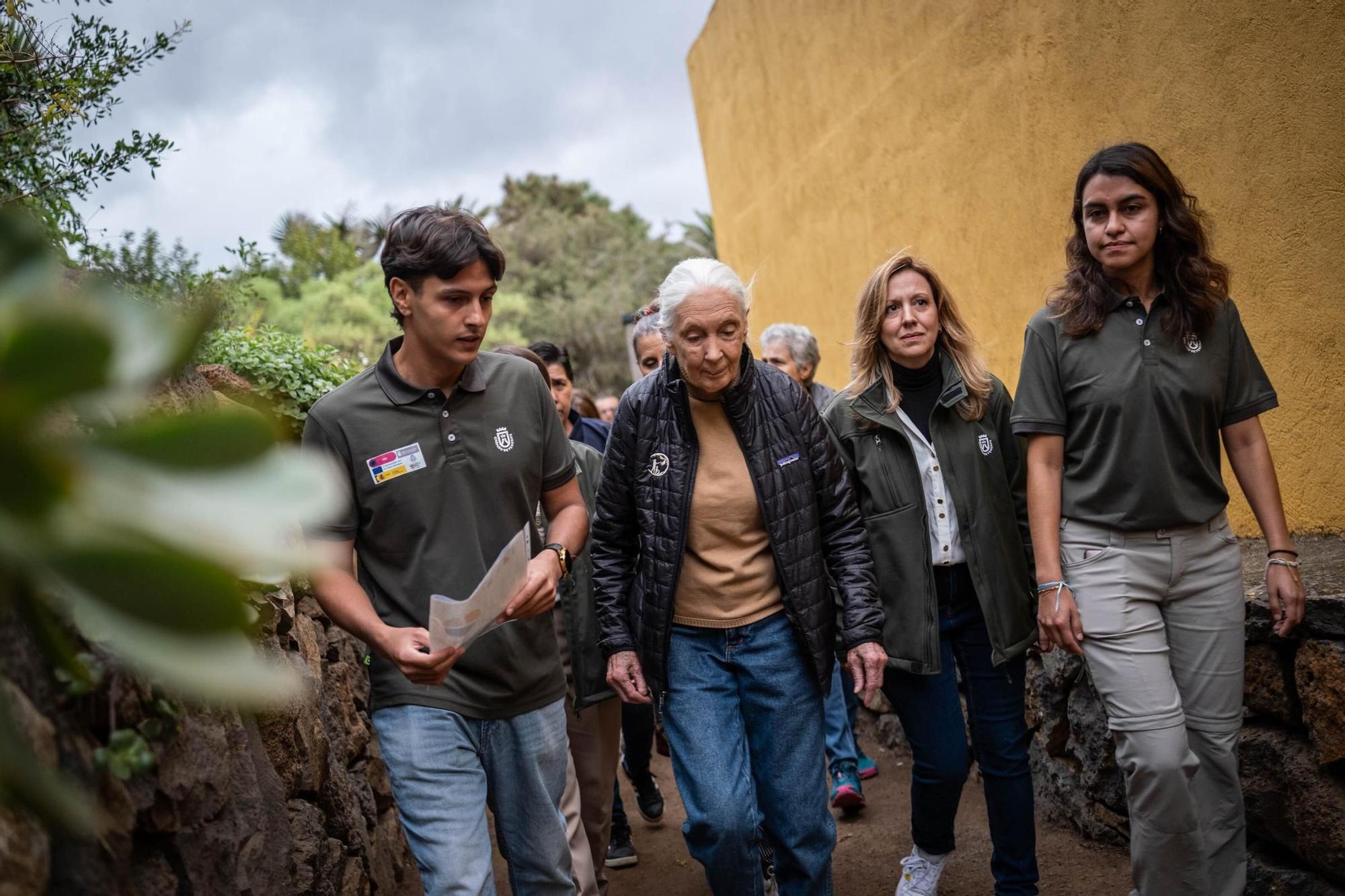Jane Goodall visita distintos lugares en Tenerife