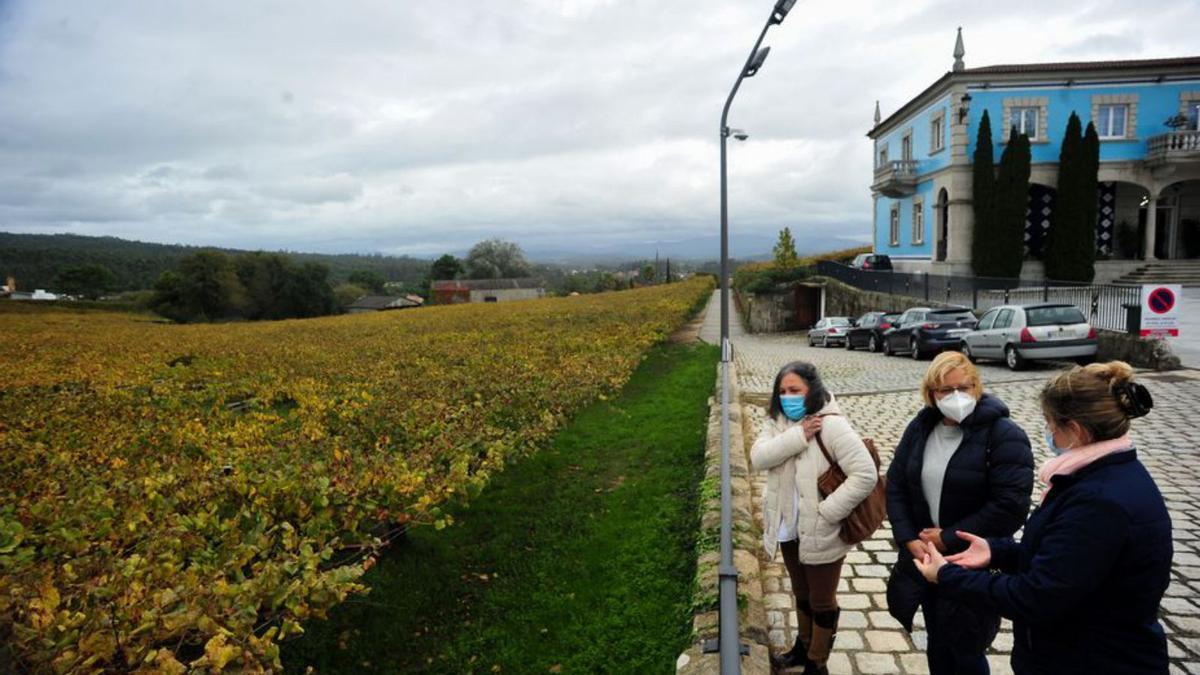 Visita de turistas a la Bodega Gran Bazán de Vilanova.   | // I. ABELLA